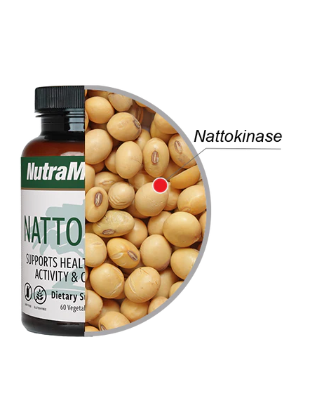 Nattokinase - 60 capsules | Nutramedix