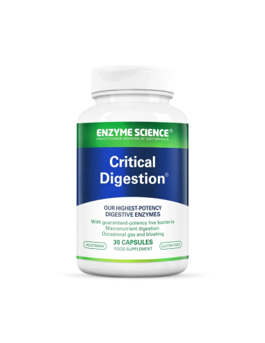 Critical Digestion | Enzyme Science