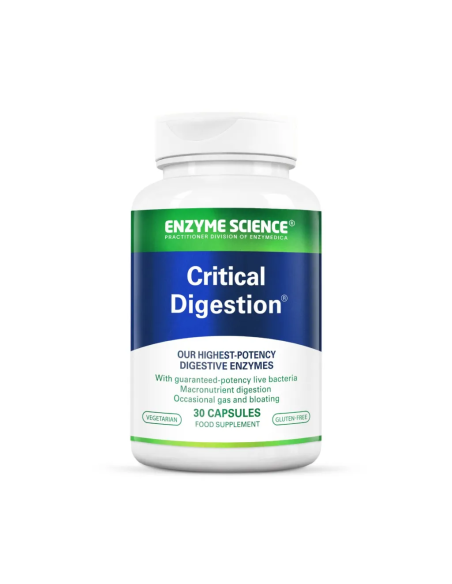 Critical Digestion | Enzyme Science
