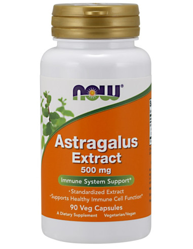 Astragalus Extract, 500mg - 90 vcaps | NOW Foods