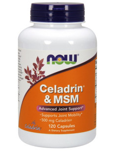 Celadrin & MSM, 500mg - 120 caps | NOW Foods