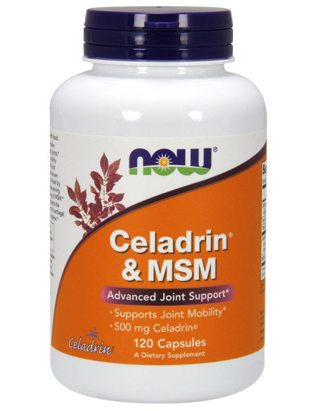 Celadrin & MSM, 500mg - 120 caps | NOW Foods
