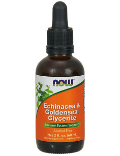 Echinacea & Goldenseal Glycerite - 60 ml. | NOW Foods