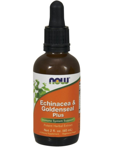 Echinacea & Goldenseal Plus - 60 ml. | NOW Foods