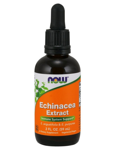 Echinacea Extract - 59 ml. | NOW Foods