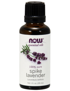 Essential Oil, Spike Lavender - 30 ml. | NOW Foods