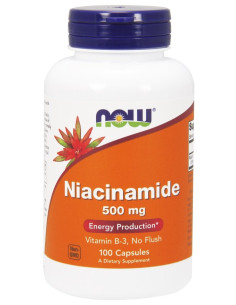 Niacinamide, 500mg - 100 caps | NOW Foods