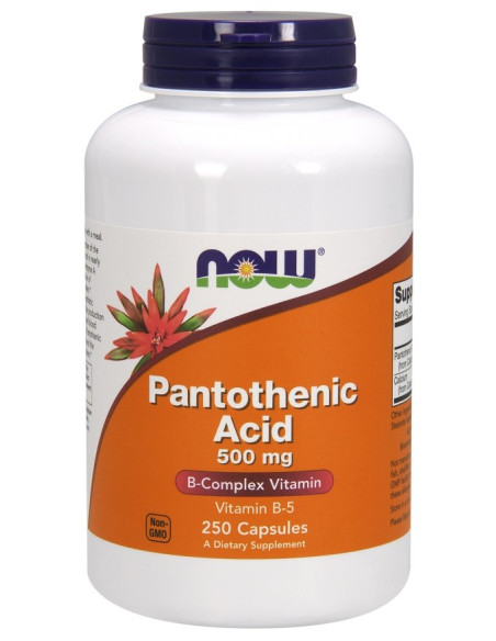 Pantothenic Acid, 500mg - 250 caps | NOW Foods