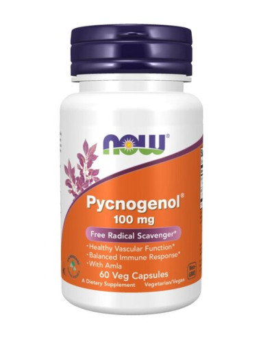 Pycnogenol, 100mg - 60 vcaps | NOW Foods