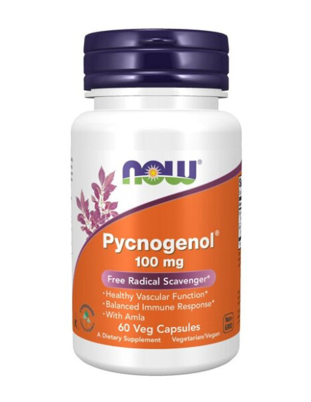 Pycnogenol, 100mg - 60 vcaps | NOW Foods