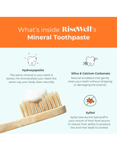 Natural Hydroxyapatite Toothpaste (Wild Mint) -...