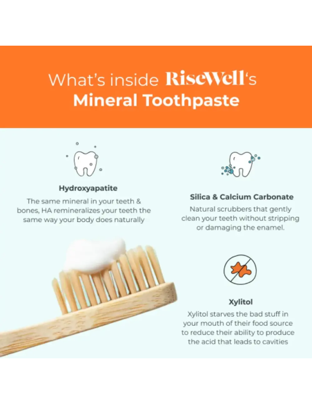 Natural Hydroxyapatite Toothpaste (Wild Mint) - 96g | Risewell