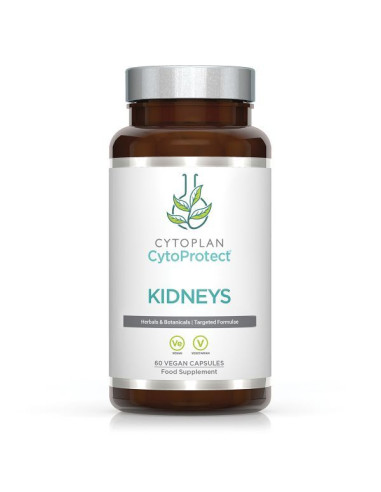 Kidneys - CytoProtect - 60 vcaps | Cytoplan