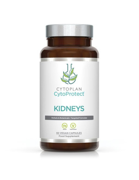 Kidneys - CytoProtect - 60 vcaps | Cytoplan