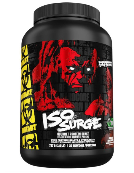 Iso Surge, Chocolate Fudge Brownie - 727g | Mutant
