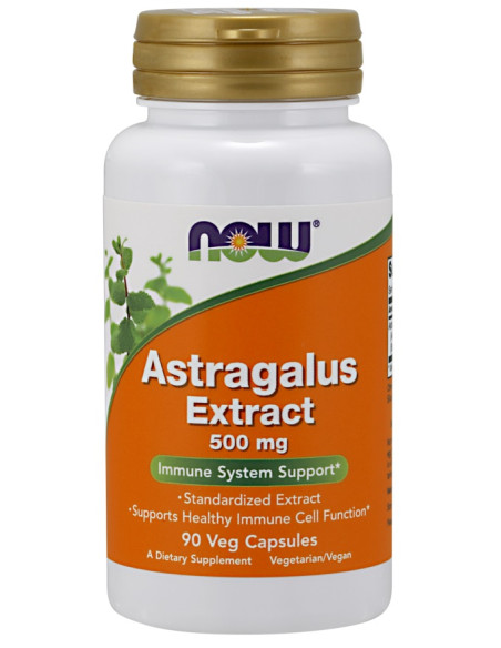 Astragalus Extract, 500mg - 90 vcaps | NOW Foods