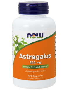 Astragalus, 500mg - 100 caps | NOW Foods