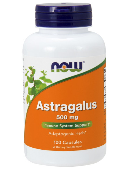 Astragalus, 500mg - 100 caps | NOW Foods