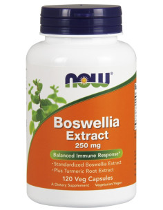 Boswellia Extract Plus Turmeric Root Extract, 250mg - 120...