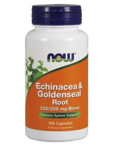 Echinacea & Goldenseal Root - 100 caps | NOW Foods