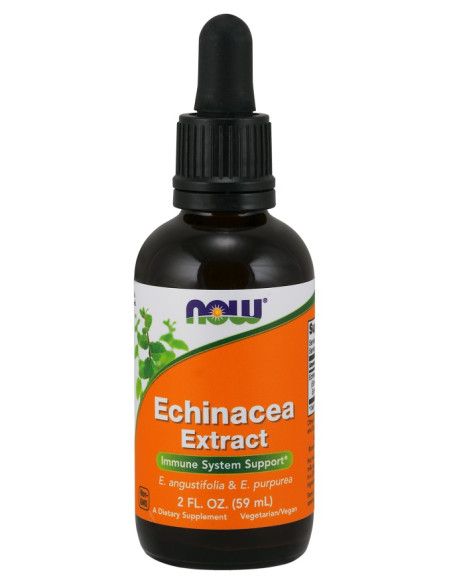 Echinacea Extract - 59 ml. | NOW Foods