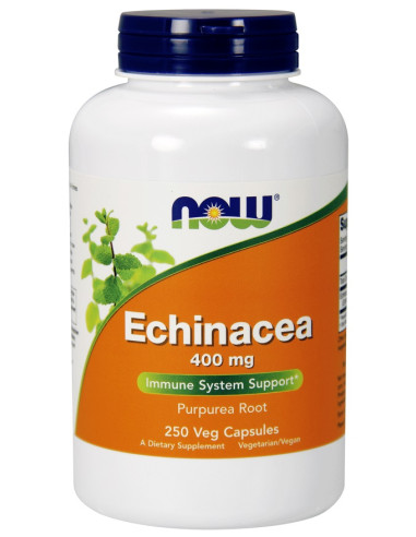 Echinacea, 400mg - 250 vcaps | NOW Foods