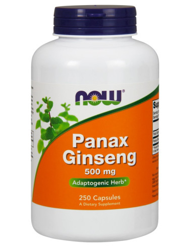 Panax Ginseng, 500mg - 250 caps | NOW Foods