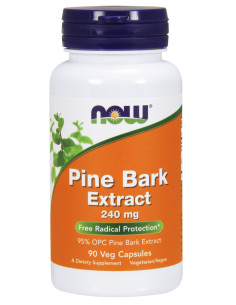 Pine Bark Extract, 240mg - 90 vcaps | NOW Foods