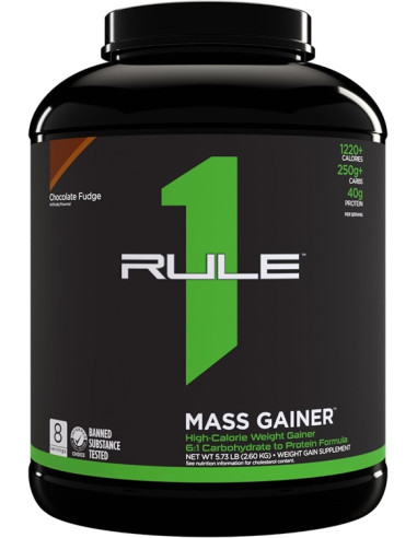 Mass Gainer, Chocolate Fudge - 2600g | Rule One