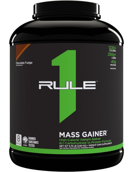 Mass Gainer, Chocolate Fudge - 2600g | Rule One