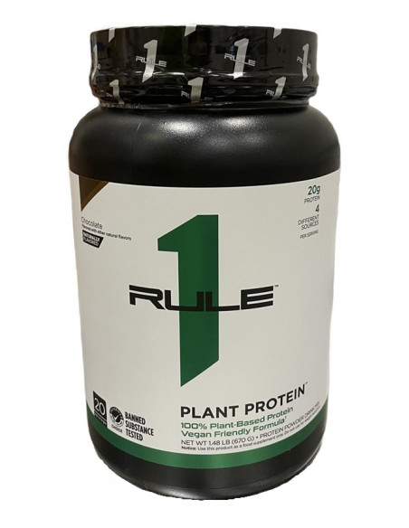 Plant Protein, Chocolate - 670g | Rule One