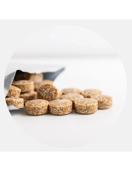 Oral Microbiome Gum-Based - 30 Pieces | Calroy Health Sciences