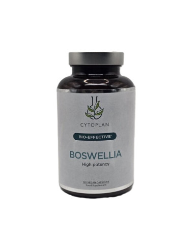 Boswellia - 120 vcaps | Cytoplan