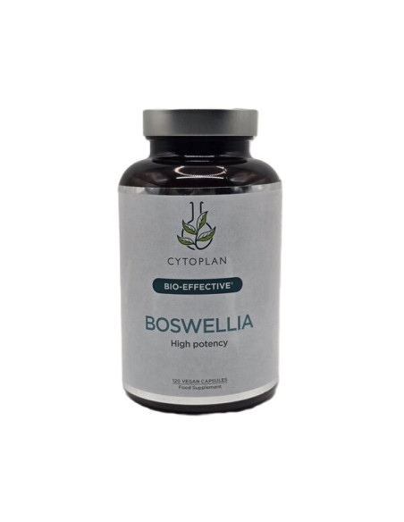 Boswellia - 120 vcaps | Cytoplan