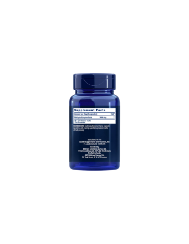 MSM, EU - 100 capsules | Life Extension