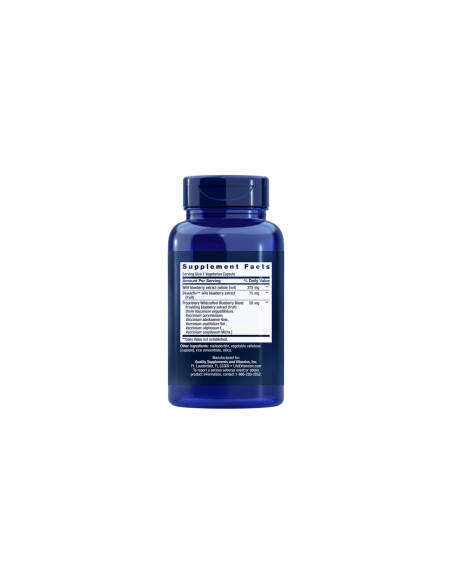 Blueberry Extract - 60 vegetarian capsules | Life Extension