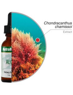 Algas - 30 ml - Nutramedix 2