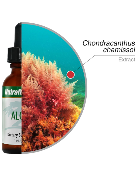Algas - 30 ml - Nutramedix