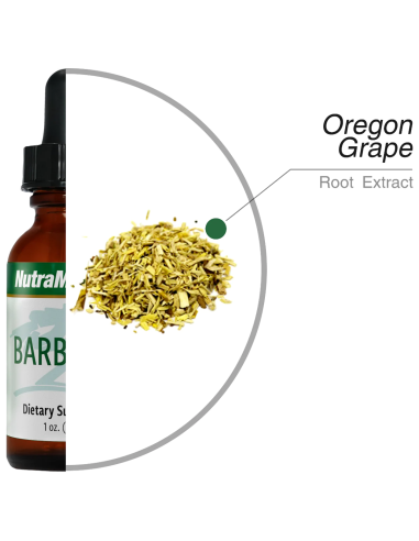Barberry - 30 ml - Nutramedix