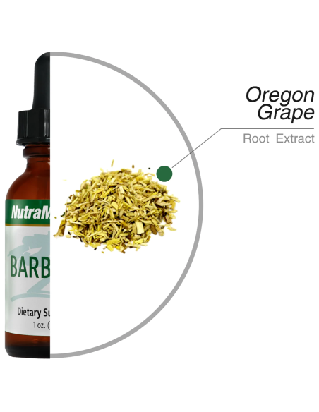 Barberry - 30 ml - Nutramedix
