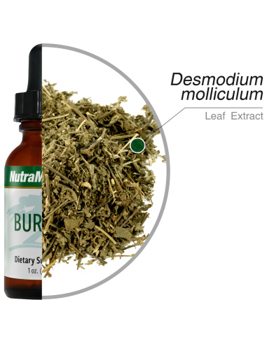 Burbur - 30 ml - Nutramedix