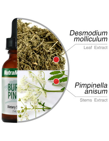 Burbur-Pinella - 60 ml - Nutramedix