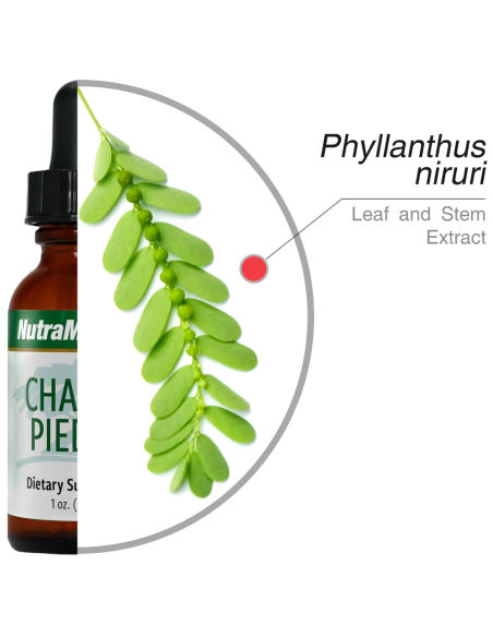 Chanca Piedra - 30 ml - Nutramedix