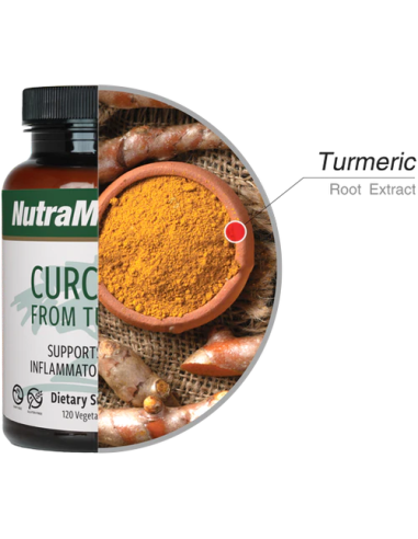 Curcumin - 120 Capsules - Nutramedix