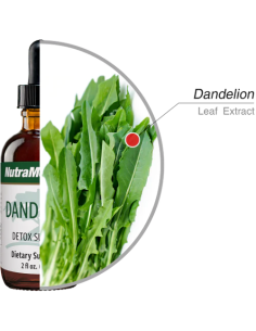 Dandelion - 60 ml - NutraMedix 2