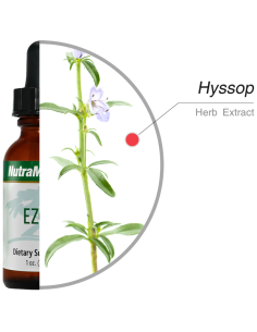 Ezov - 30 ml - Nutramedix 2