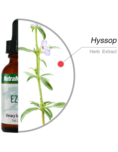 Ezov - 30 ml - Nutramedix