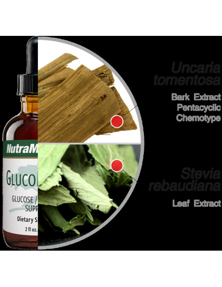 GlucoMedix - Nutramedix