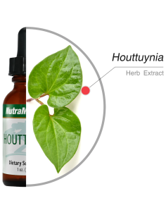 Houttuynia - 30 ml - Nutramedix 2