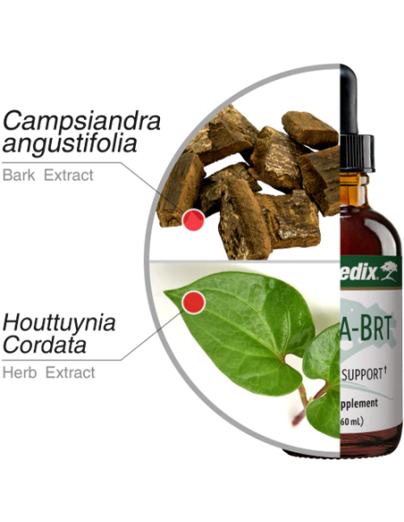 Nutra-BRT - Nutramedix